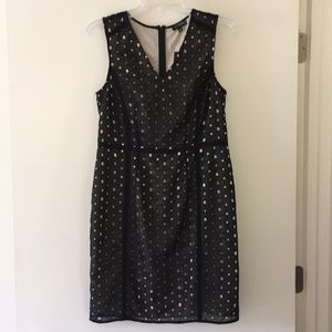 Brand new textured black dress : size 6